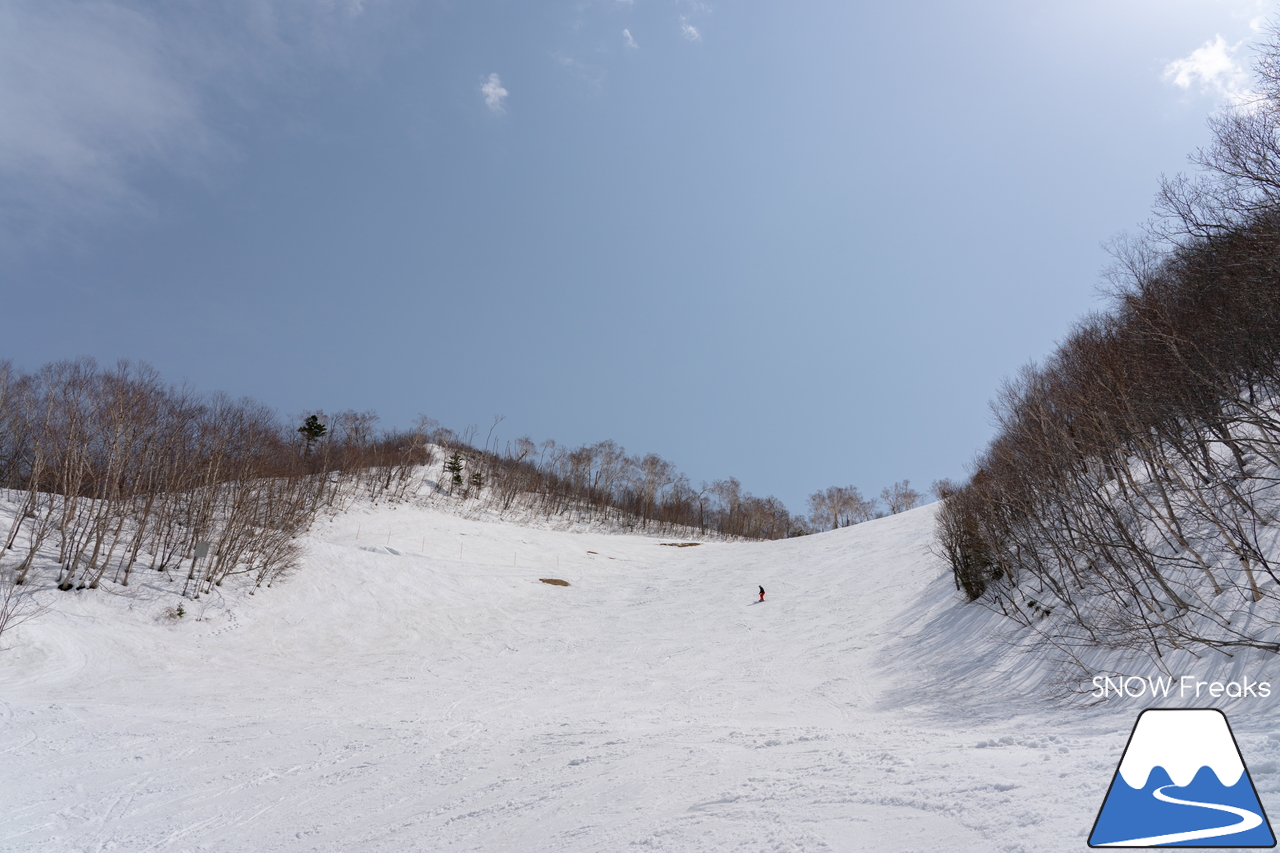 サッポロテイネ｜ハイランドゾーン山頂の積雪は 360cm。5月5日（祝）までの土･日･祝限定で、特別春スキー営業中(^^)/